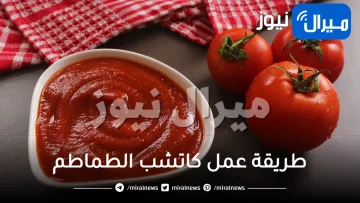 طريقة عمل كاتشب الطماطم الحار في المنزل بكل سهولة.. أرخص وأحلى وأكثر من الجاهز