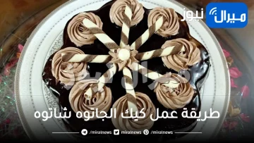 طريقة عمل كيك الجاتوه شاتوه الهش بصوص الشيكولاتة الشهي بطريقة غير مكلفة وبمكونات متوفرة