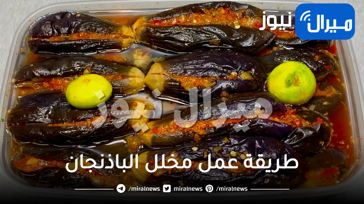 طريقة غير تقليدية لعمل مخلل الباذنجان المسلوق بمذاق لا يقاوم.. وصفة تفتح النفس في رمضان