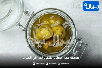 حضري مخلل الفلفل الحار بالزيت في المنزل وأضيفي لأطباقك نكهة خاصة ومميزة.. بهذه الطريقة