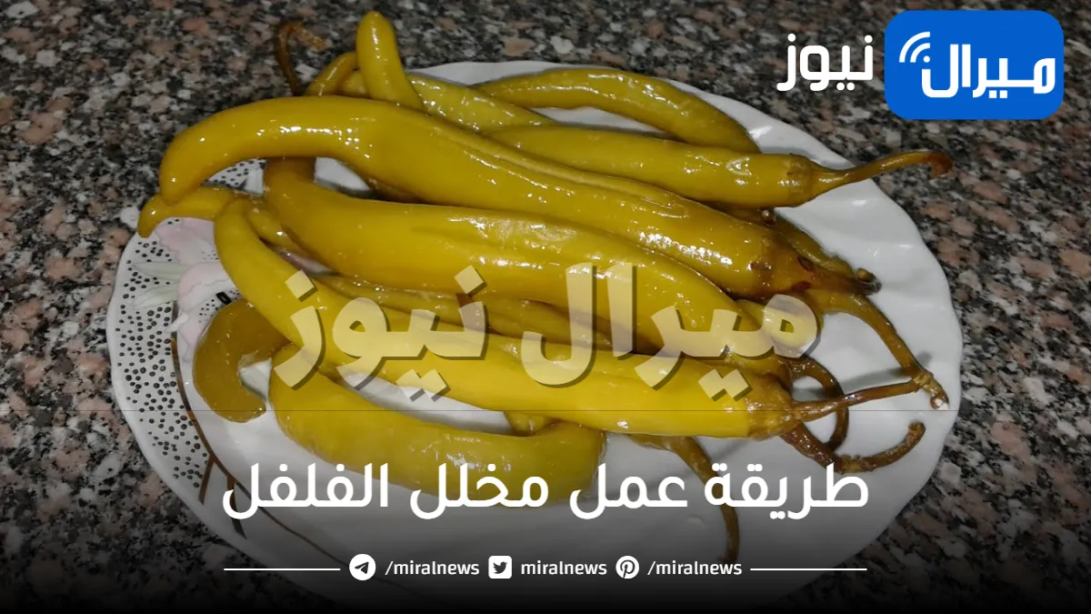 اسرار تحضير مخلل الفلفل الشهي بمذاق المحلات ولمائدة رمضان