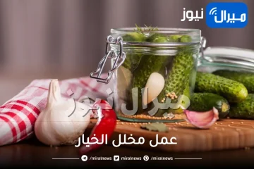 أفضل طريقة لعمل مخلل الخيار بدون خل في المنزل.. مقرمش وأحلى من الجاهز