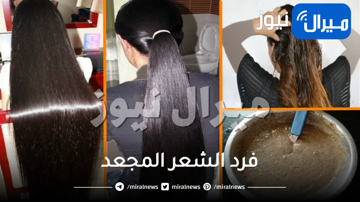 أسرار فرد الشعر المجعد بمكونات طبيعية مثل الكيراتين من الاستعمال الأول .. بطرق صالون العناية بالشعر