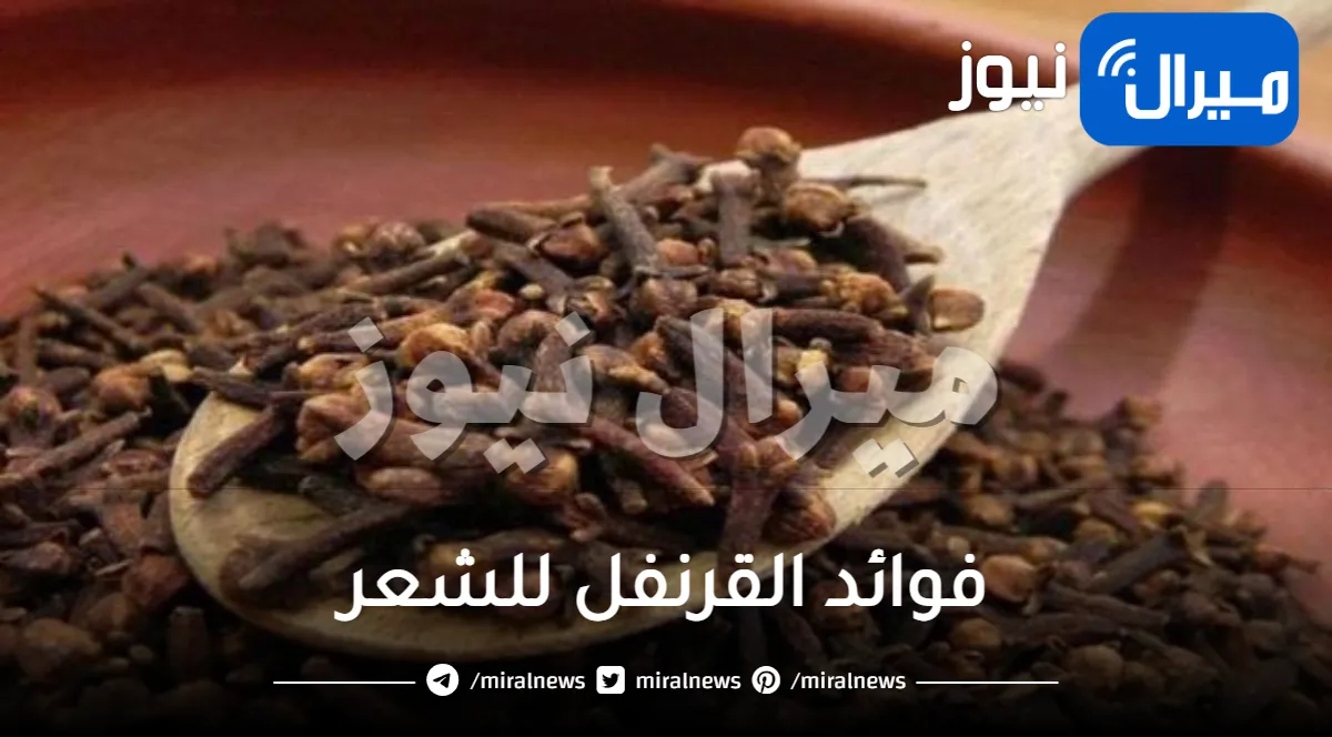 فوائد جبارة للقرنفل للشعر .. علاج سحري لقشرة الرأس والشيب والتساقط وينعم الشعر بسرعة اذا استخدمته بهذه الطريقة المميزة
