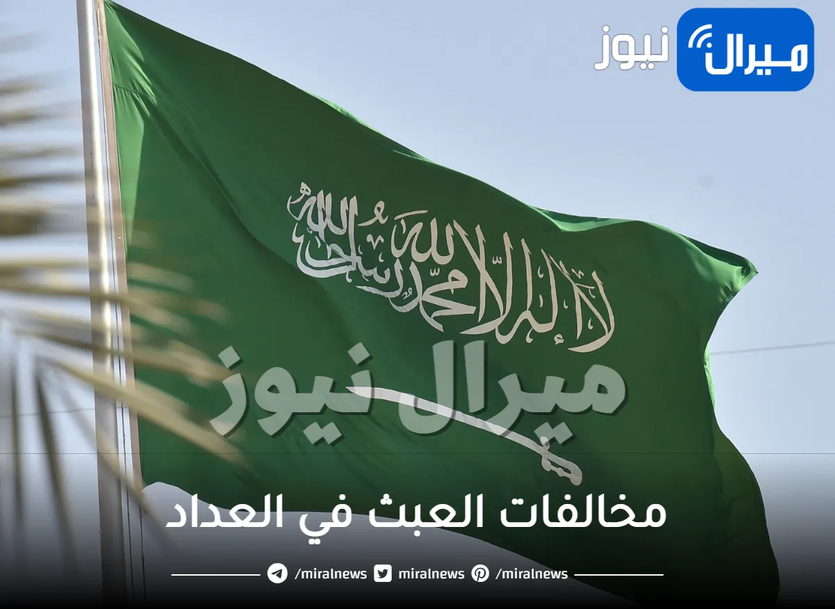 السعودية تصدر ضوابط وعقوبات جديدة للمقيمين والمواطنين .. من يقوم بهذا الأمر في منزله سيكلفه غرامة 2مليون ريال!