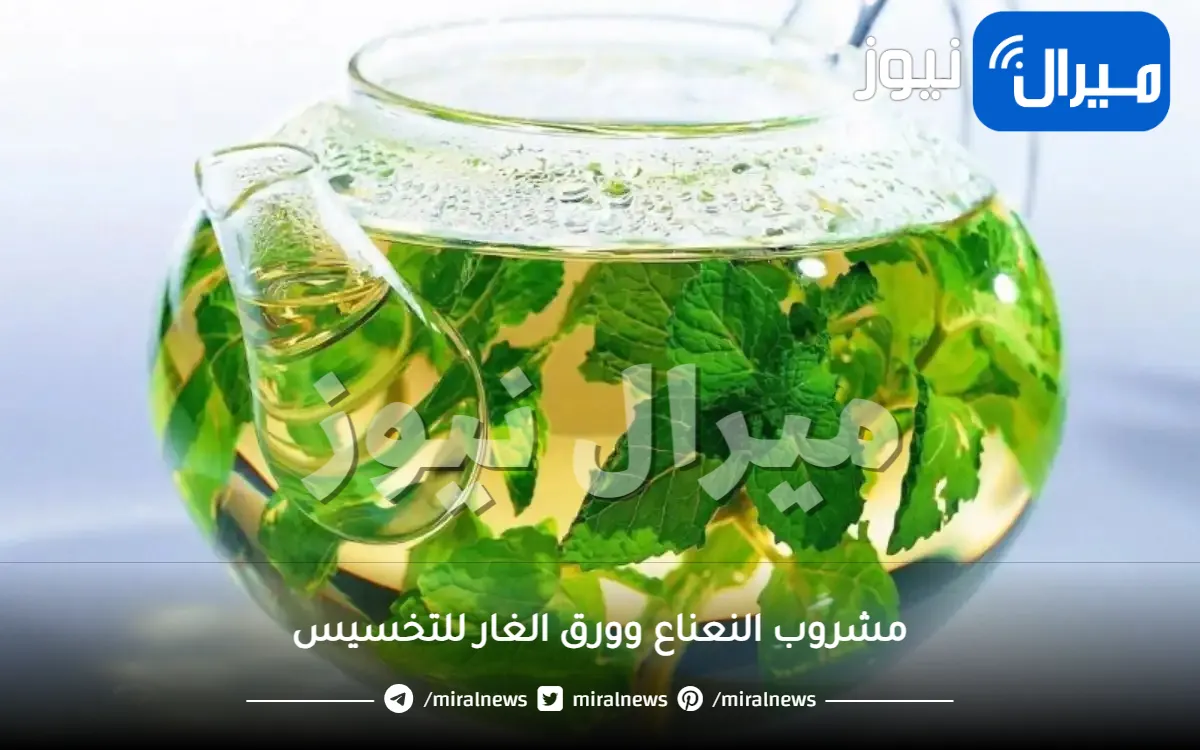 وصفة سحرية من ورق الغار والنعناع تنسف الكرش وتقضي على دهون البطن تماما بدون ريجيم ورياضة .. لا تضيعوا الفرصة في رمضان!