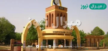 رابط معرفة نتيجة القبول للجامعات السودانية برقم الاستمارة