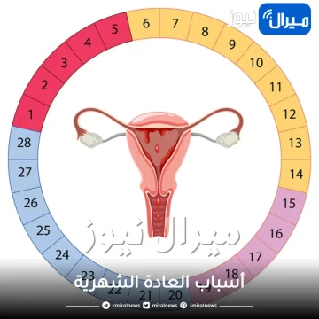 تعرفي على أسباب العادة الشهرية وأعراضها