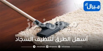 أسهل الطرق لتنظيف السجاد في المنزل بأقل التكاليف .. تنظيف السجاد بالمنزل