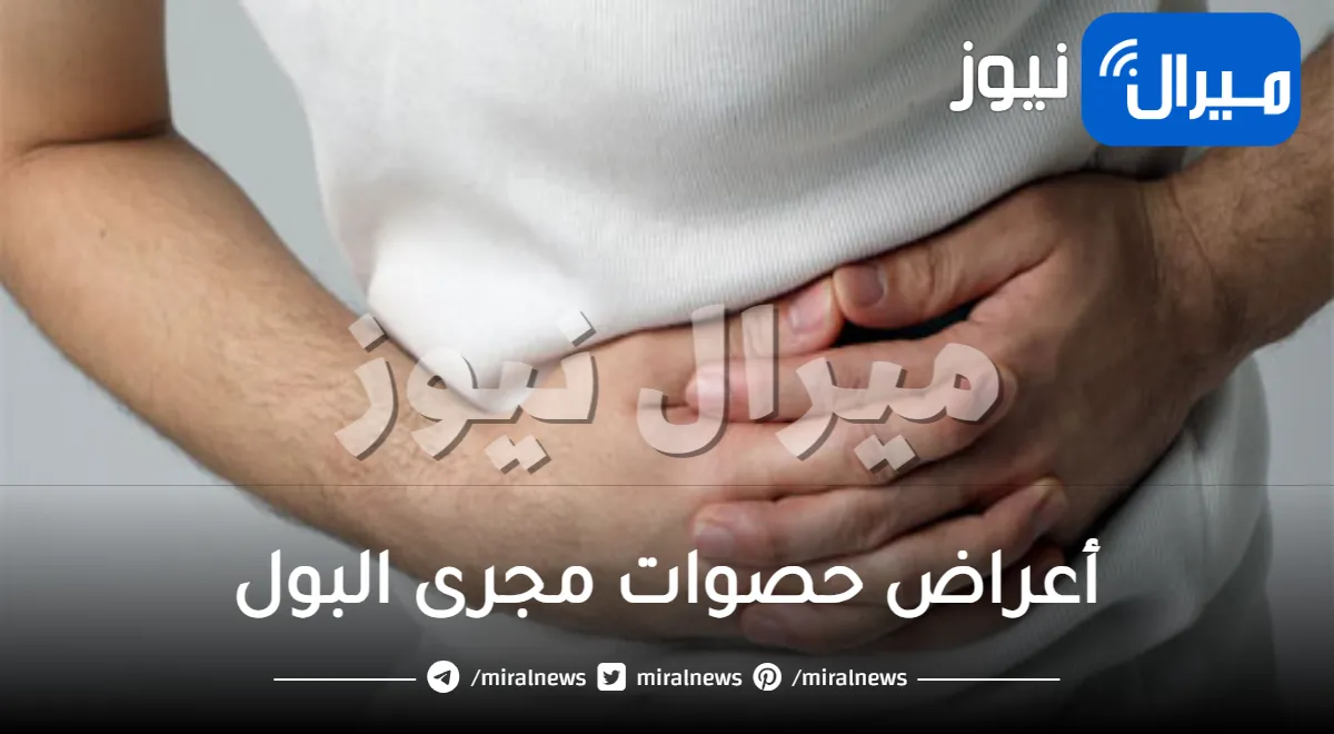 أعراض حصوات مجرى البول أسبابها و5 طرق فعالة لعلاجها