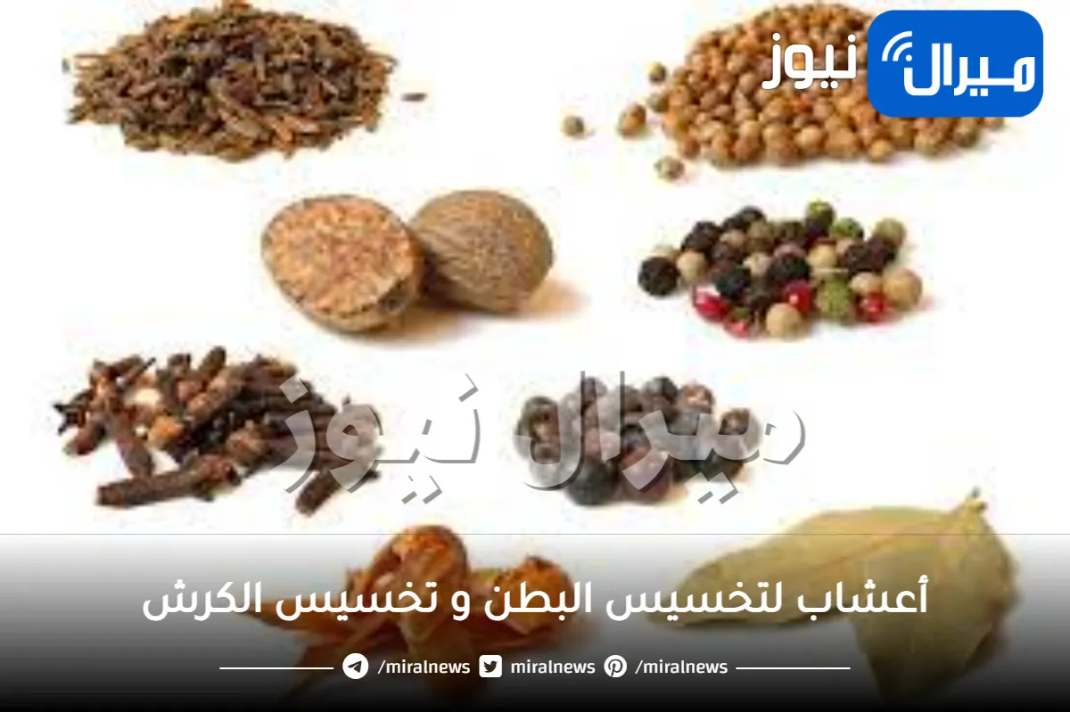 أعشاب لتخسيس البطن و تخسيس الكرش في فترة قصيرة