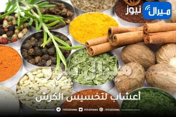 أعشاب لتخسيس الكرش .. أقوى 10 مشروبات أعشاب لتخسيس الكرش بدون رجيم