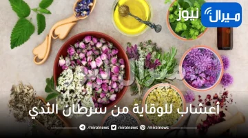 10 أعشاب للوقاية من سرطان الثدي