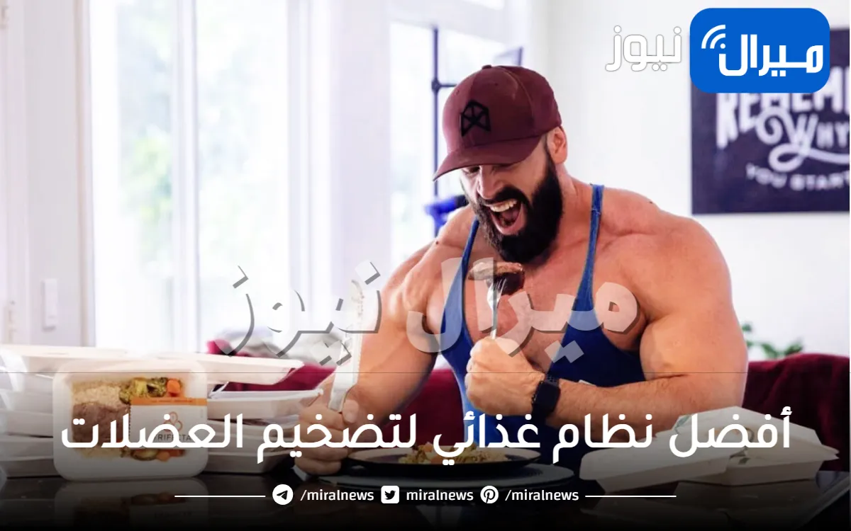 ببلاش أفضل نظام غذائي لتضخيم العضلات بسرعه بدون دهون