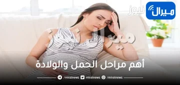 أهم مراحل الحمل والولادة