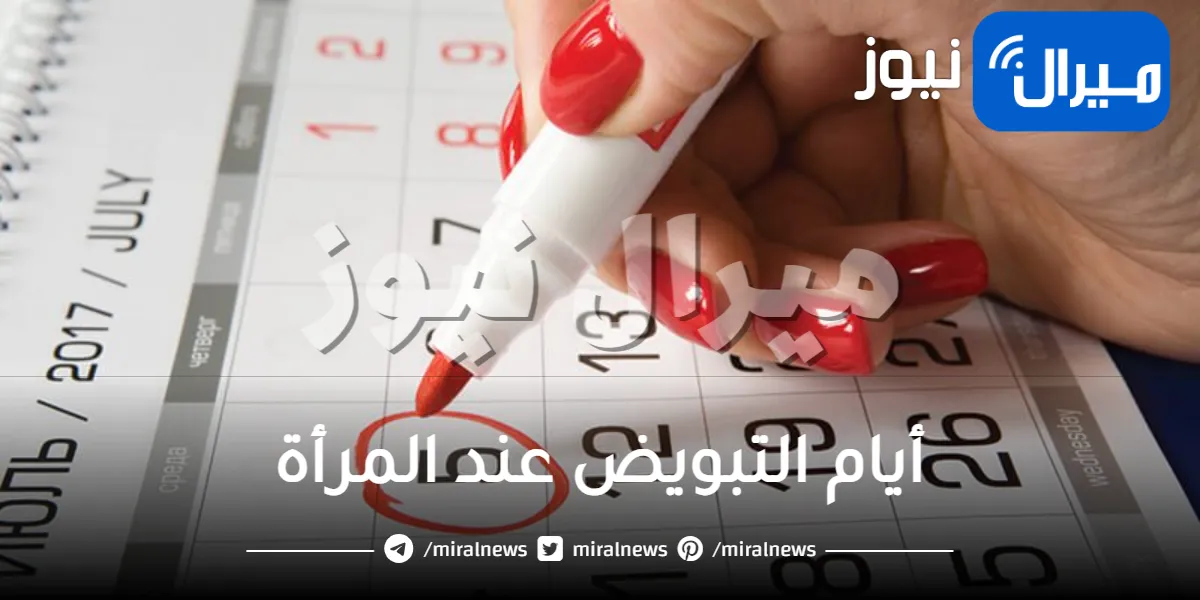 أيام التبويض عند المرأة .. انتفاخ البطن وألم الثدي أبرز العلامات