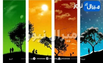 أغرب اختبار شخصية يكشف هل انت عاقلة في الزواج وصبورة أم متهورة عبر فصل السنة الذي ولدت فيه .. مفاجأة لمواليد فصل الشتاء!!