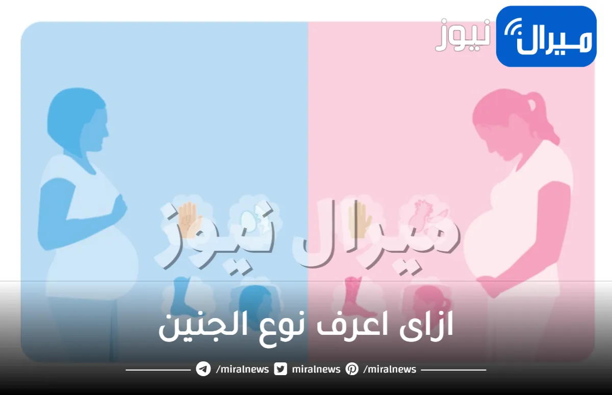 ازاى اعرف نوع الجنين