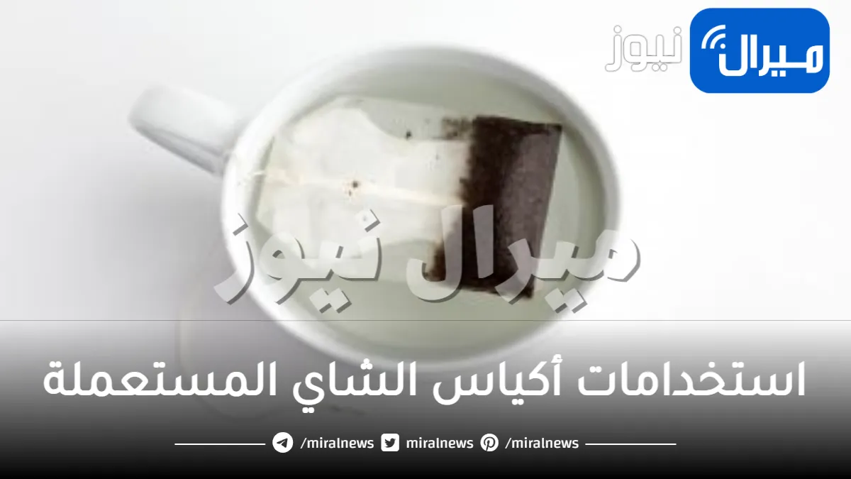 8 استخدامات لـأكياس الشاي المستعملة لن تصدقيها