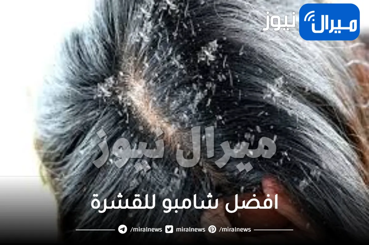 تعرفي على افضل شامبو للقشرة والحصول على شعر صحي