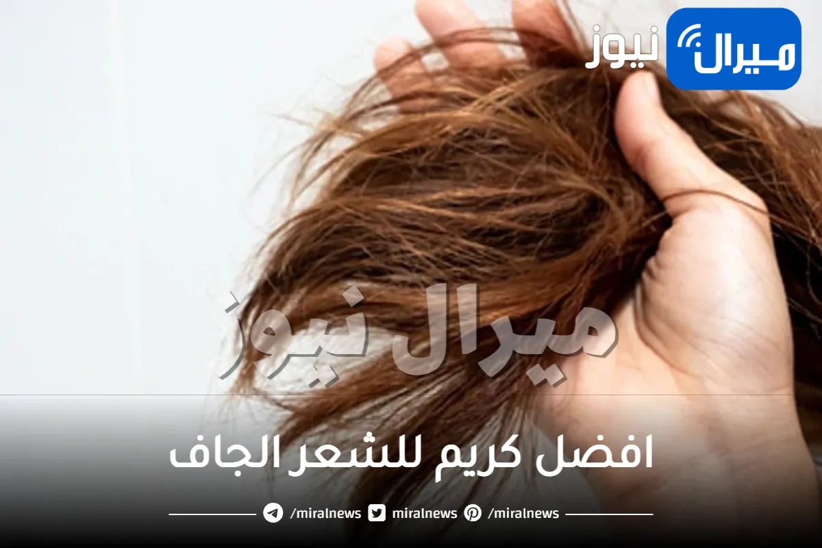 افضل كريم للشعر الجاف .. تعرفي علي الأنواع التي تناسب شعرك