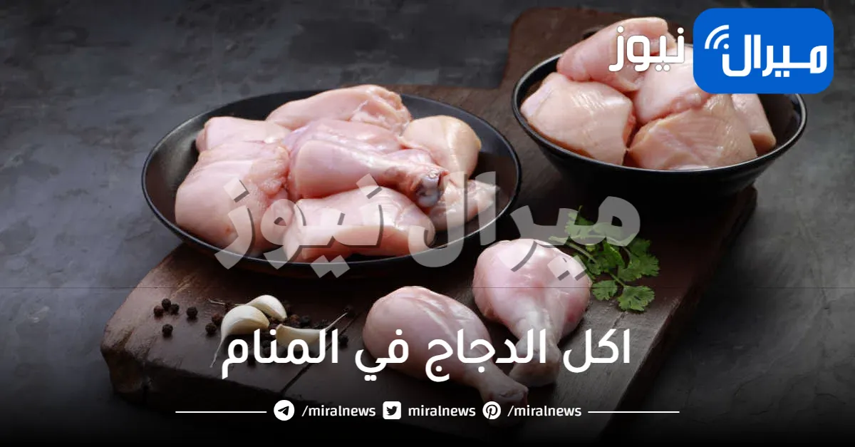 اكل الدجاج في المنام .. تعرف على تفسيراتها وما تدل عليه