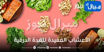 الأعشاب المفيدة للغدة الدرقية .. الجرجير والكتان أشهرهم