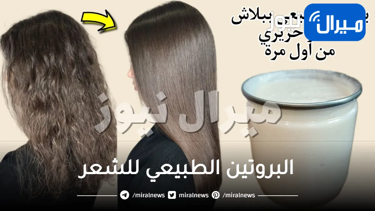 البروتين الطبيعي للشعر من غير تكاليف .. لشعر مفرود في خروجات العيد