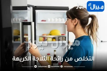 التخلص من رائحة الثلاجة الكريهة وتنظيفها بطرق سهلة