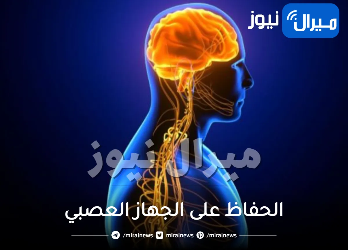 تعرف على خطوات الحفاظ على الجهاز العصبي