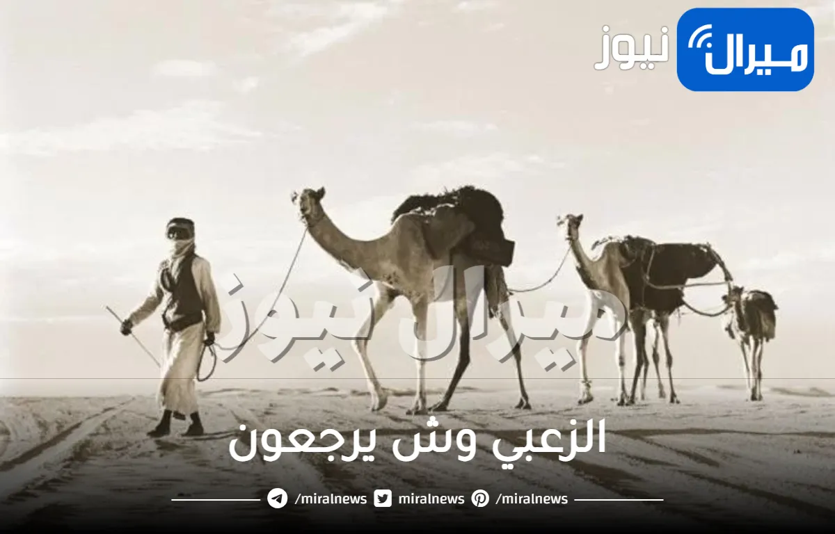 الزعبي وش يرجعون