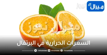 السعرات الحرارية في البرتقال