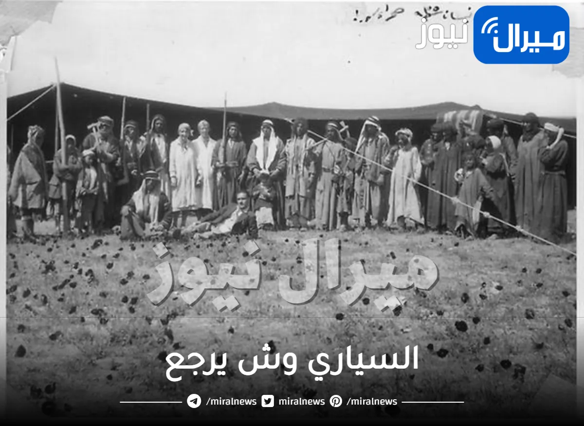 السياري وش يرجع