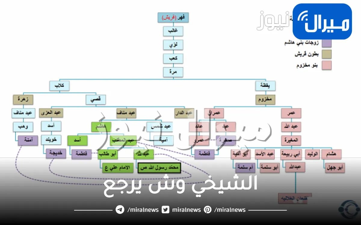 الشيخي وش يرجع