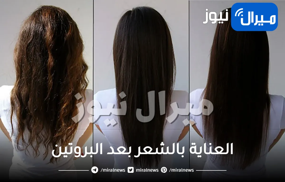 مجموعات العناية بالشعر بعد البروتين … تعرفي عليها