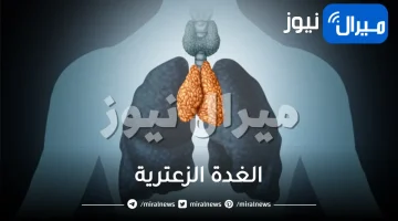 الغدة الزعترية .. أهم أسباب الإصابة بالغدة الزعترية وطرق علاجها