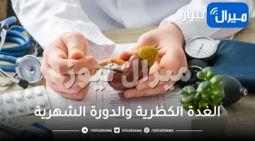 الغدة الكظرية والدورة الشهرية .. ما العلاقة بينهما؟