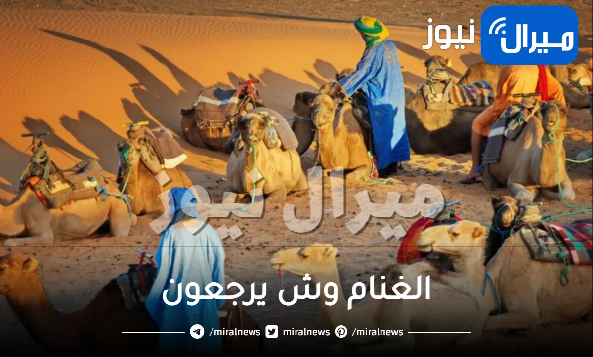 الغنام وش يرجعون