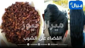 بدون حناء : معجزة القرنفل للقضاء على الشيب نهائيا وتنعيمه بدون صبغ الشعر بمواد كيميائية وفي دقائق