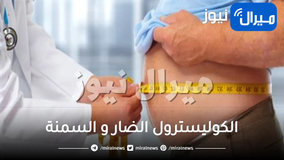 الكوليسترول الضار و السمنة و هل الكولسترول يسبب زيادة وعدم انقاص الوزن