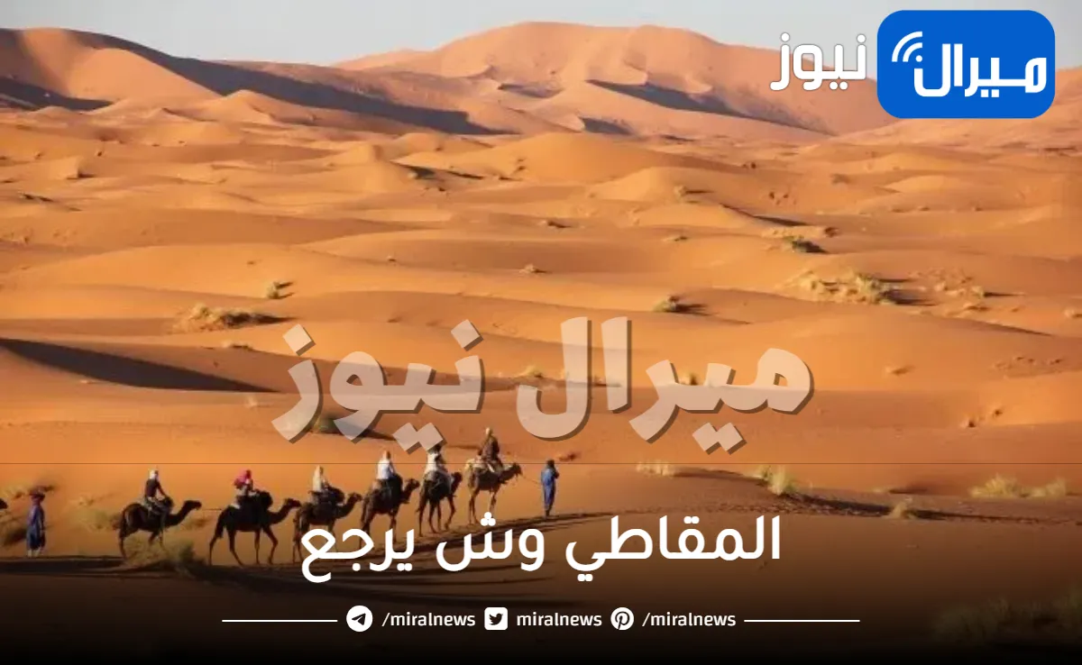 المقاطي وش يرجع