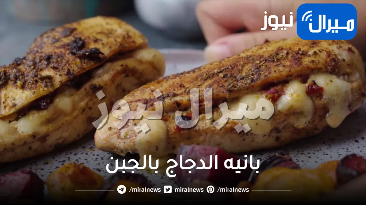 “لازم تجربوه” طريقة إعداد بانيه الدجاج بالجبن