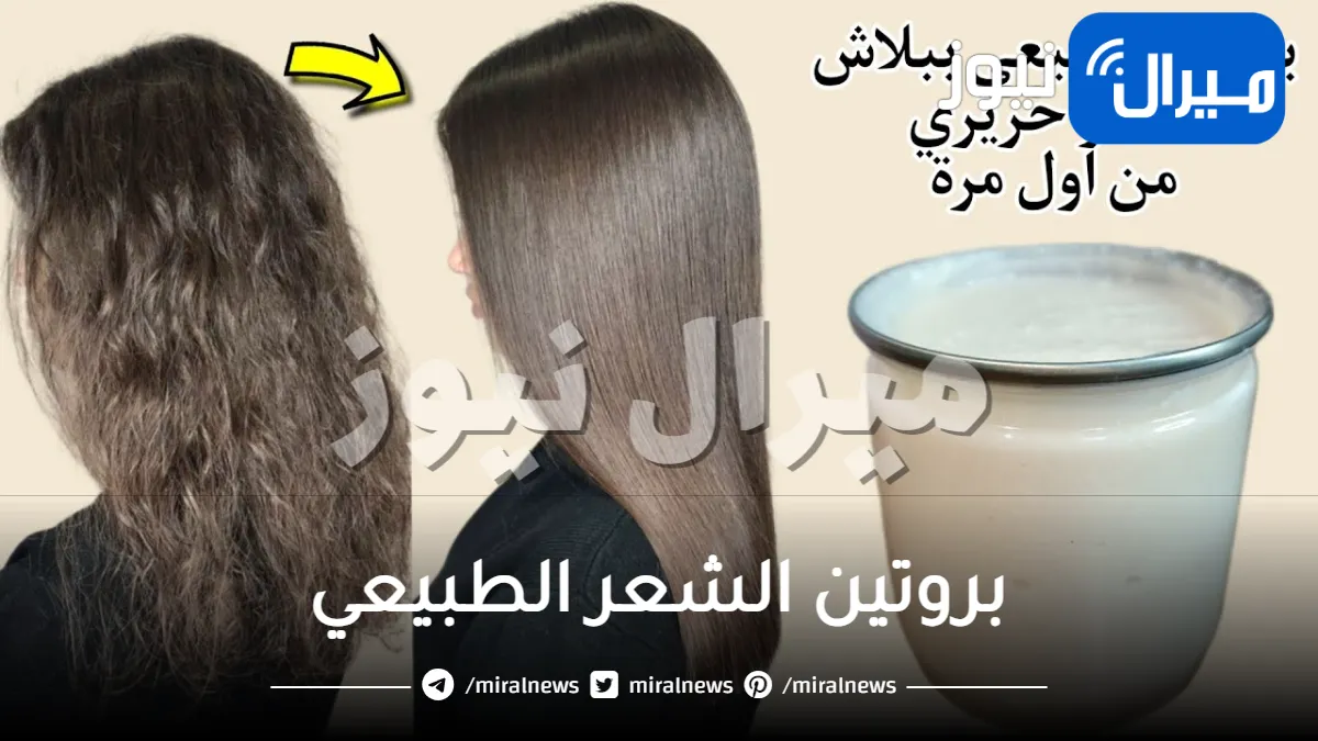بروتين الشعر الطبيعي .. 7 وصفات بروتين طبيعي للشعر بالمنزل