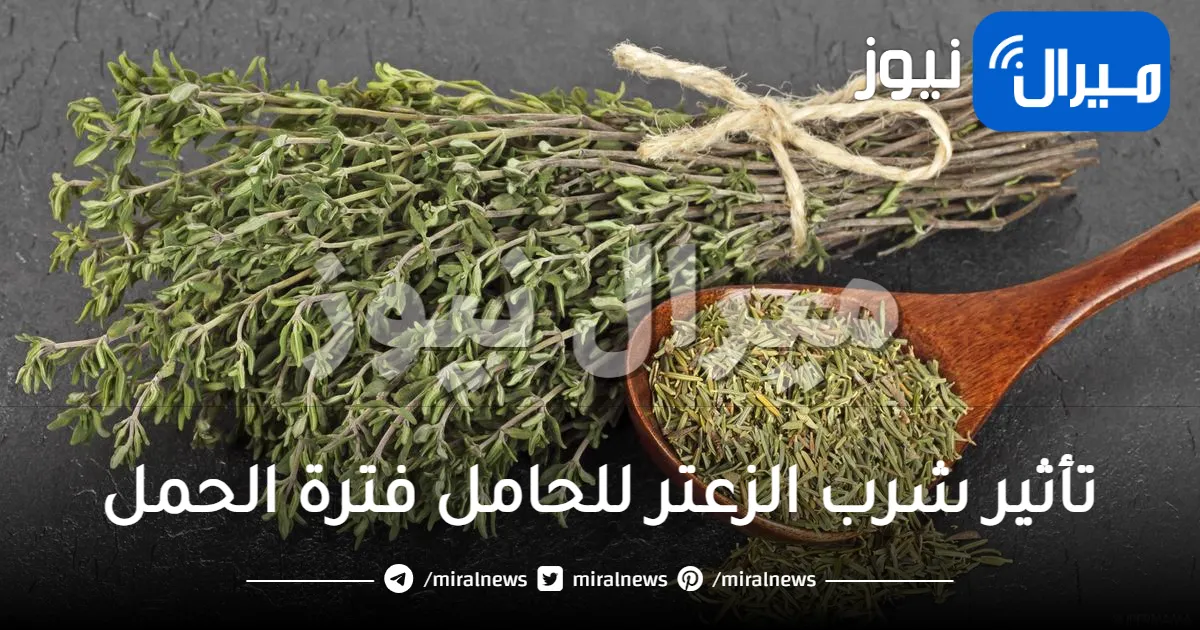 ما تأثير شرب الزعتر للحامل بفترة الحمل