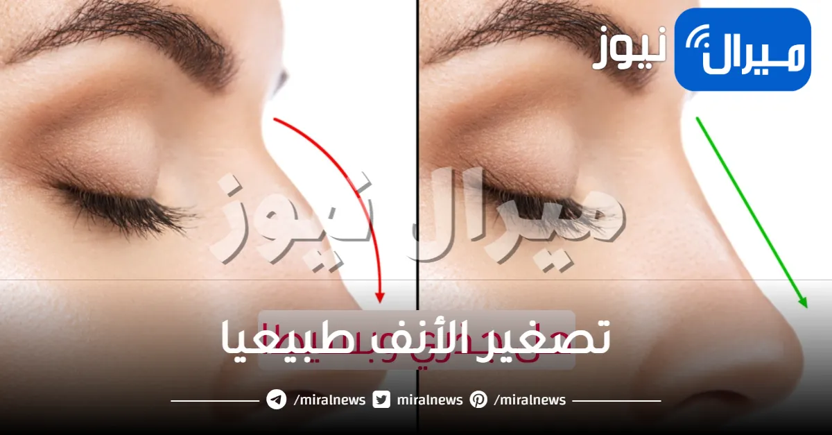 تصغير الأنف طبيعيا .. كيفية تصغير الأنف طبيعيا بالوصفات