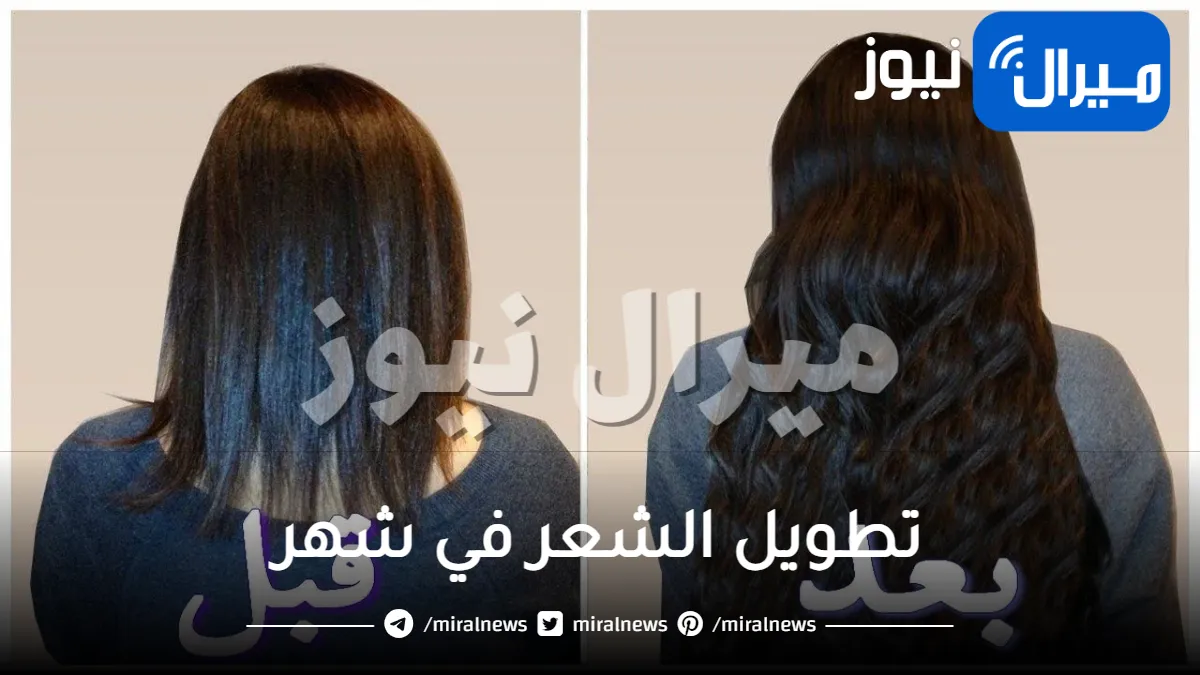 تطويل الشعر في شهر .. تعرفي على أشهر الخلطات