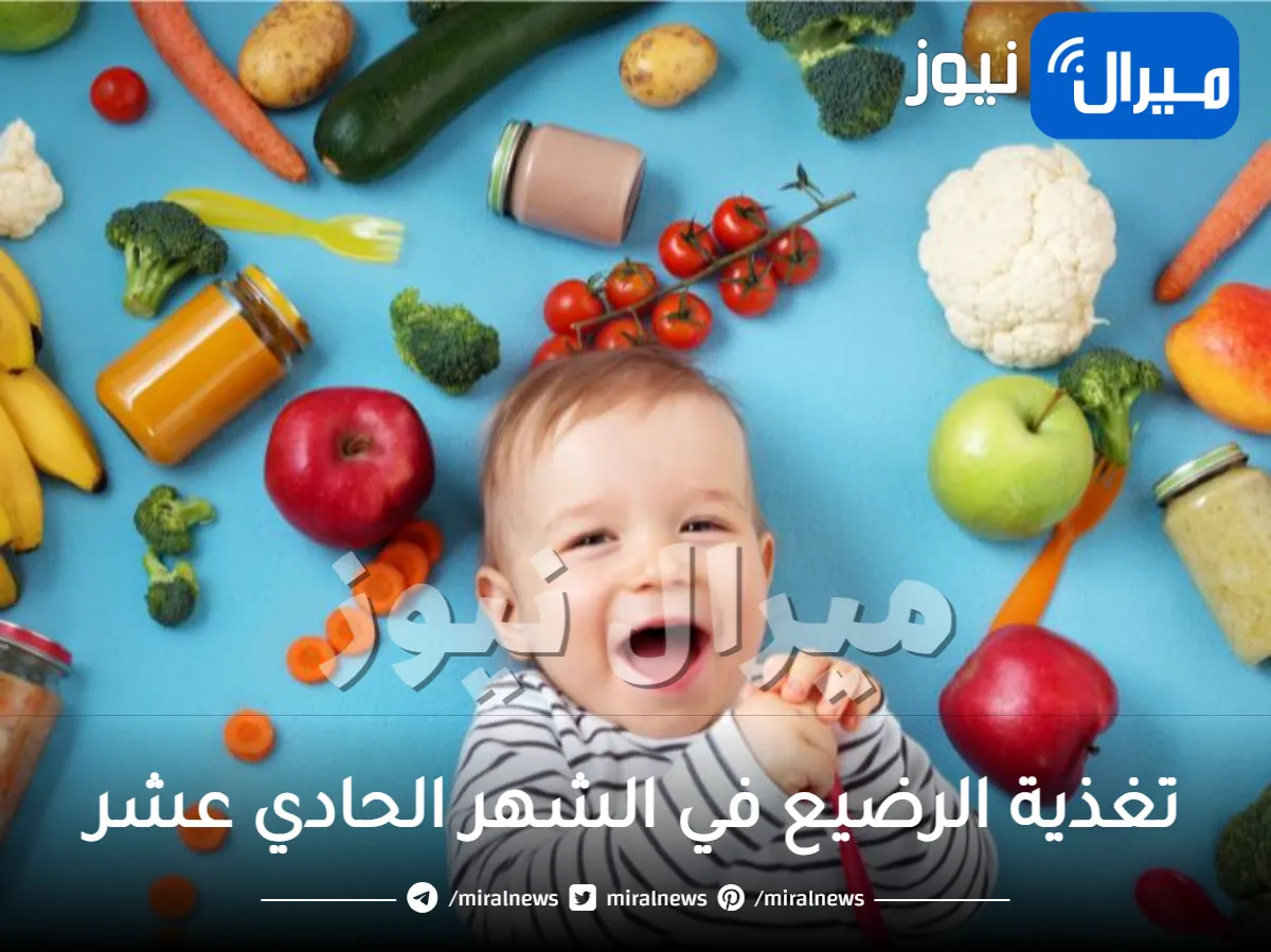 تغذية الرضيع في الشهر الحادي عشر .. تعرفي على أبرز تطوراته