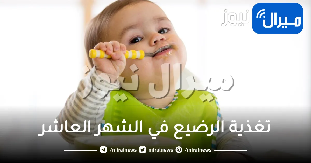 تغذية الرضيع في الشهر العاشر .. أفضل أطعمة صحية للرضع في الشهر العاشر