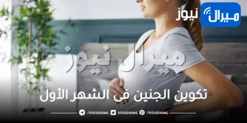 تكوين الجنين فى الشهر الأول .. تعرفي على اعراض هذا الشهر