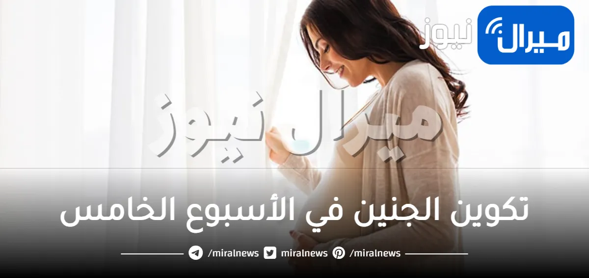 تكوين الجنين في الأسبوع الخامس .. تعرفي على مراحل نمو هذه المرحلة